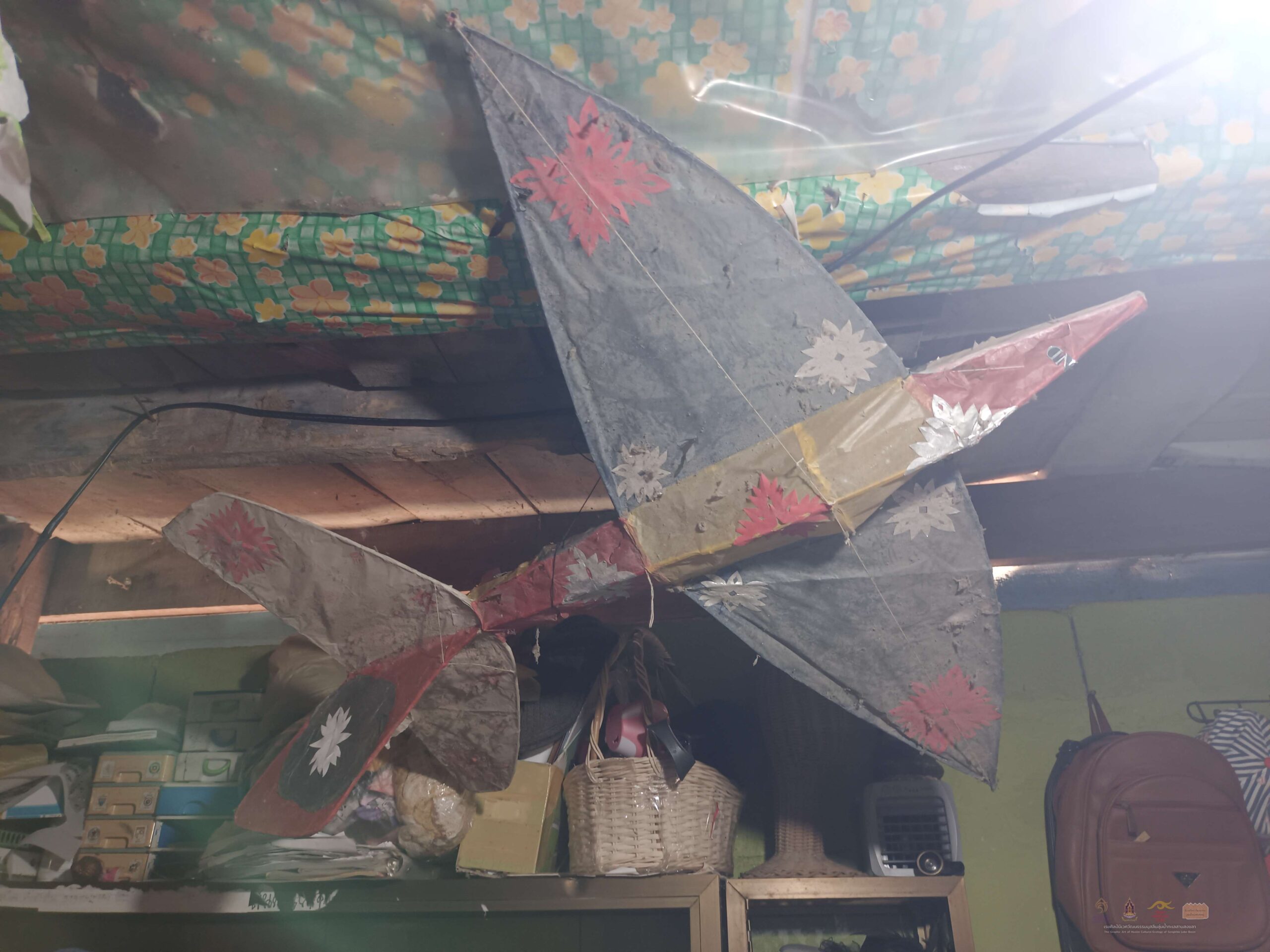 1 - ว่าวเครื่องบิน