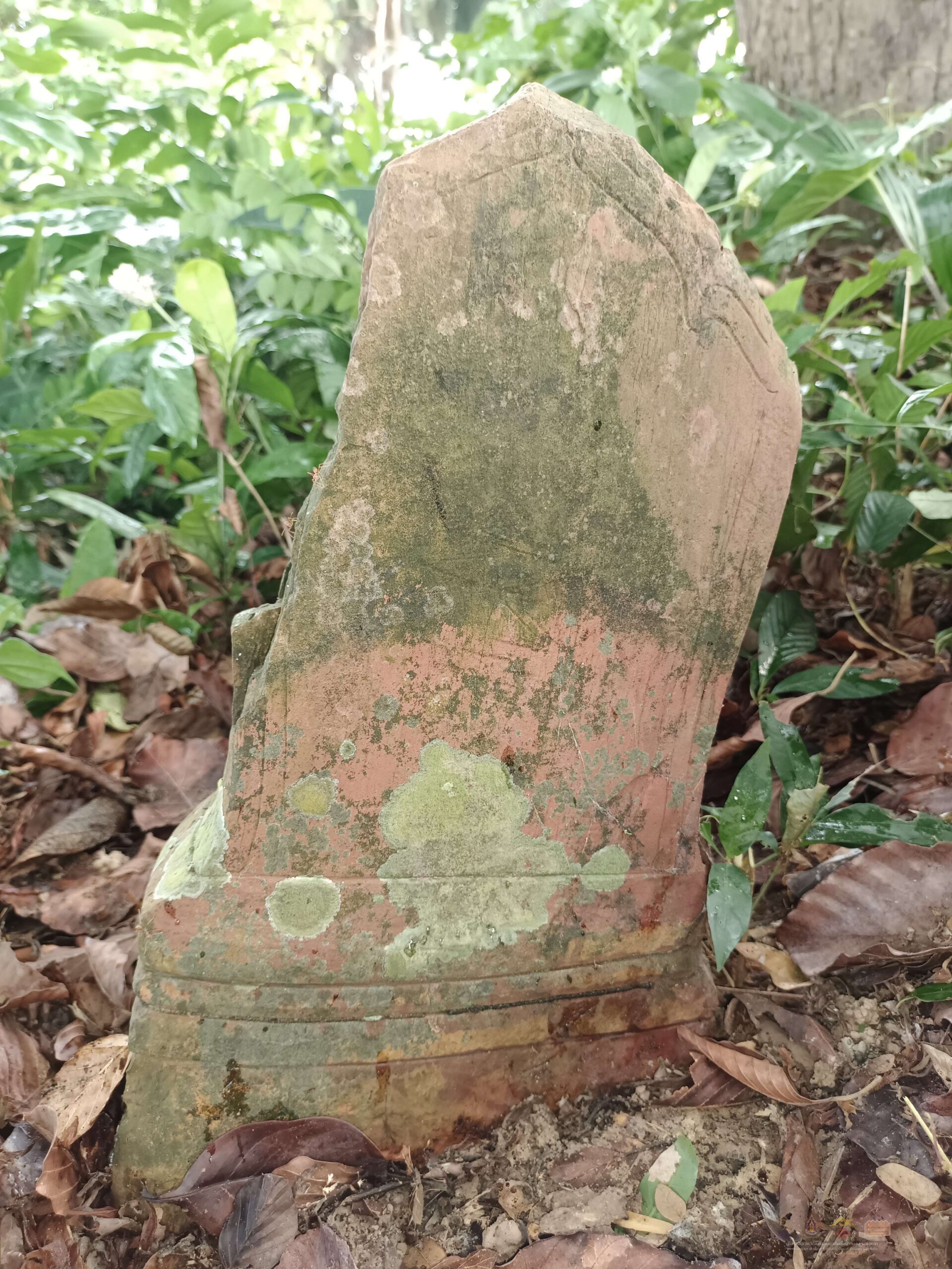 filter: 0; jpegRotation: 90; fileterIntensity: 0.000000; filterMask: 0;