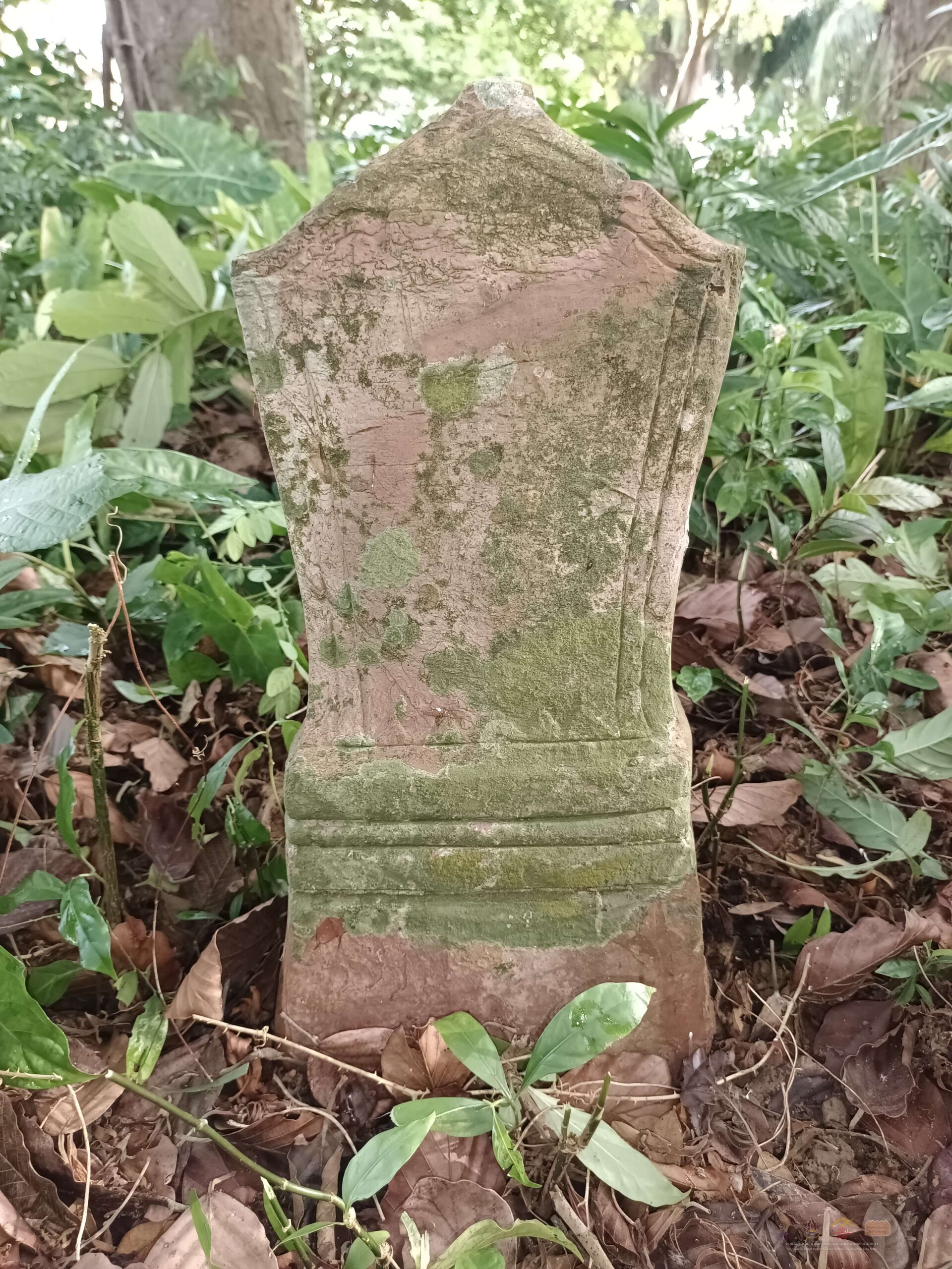 filter: 0; jpegRotation: 90; fileterIntensity: 0.000000; filterMask: 0;