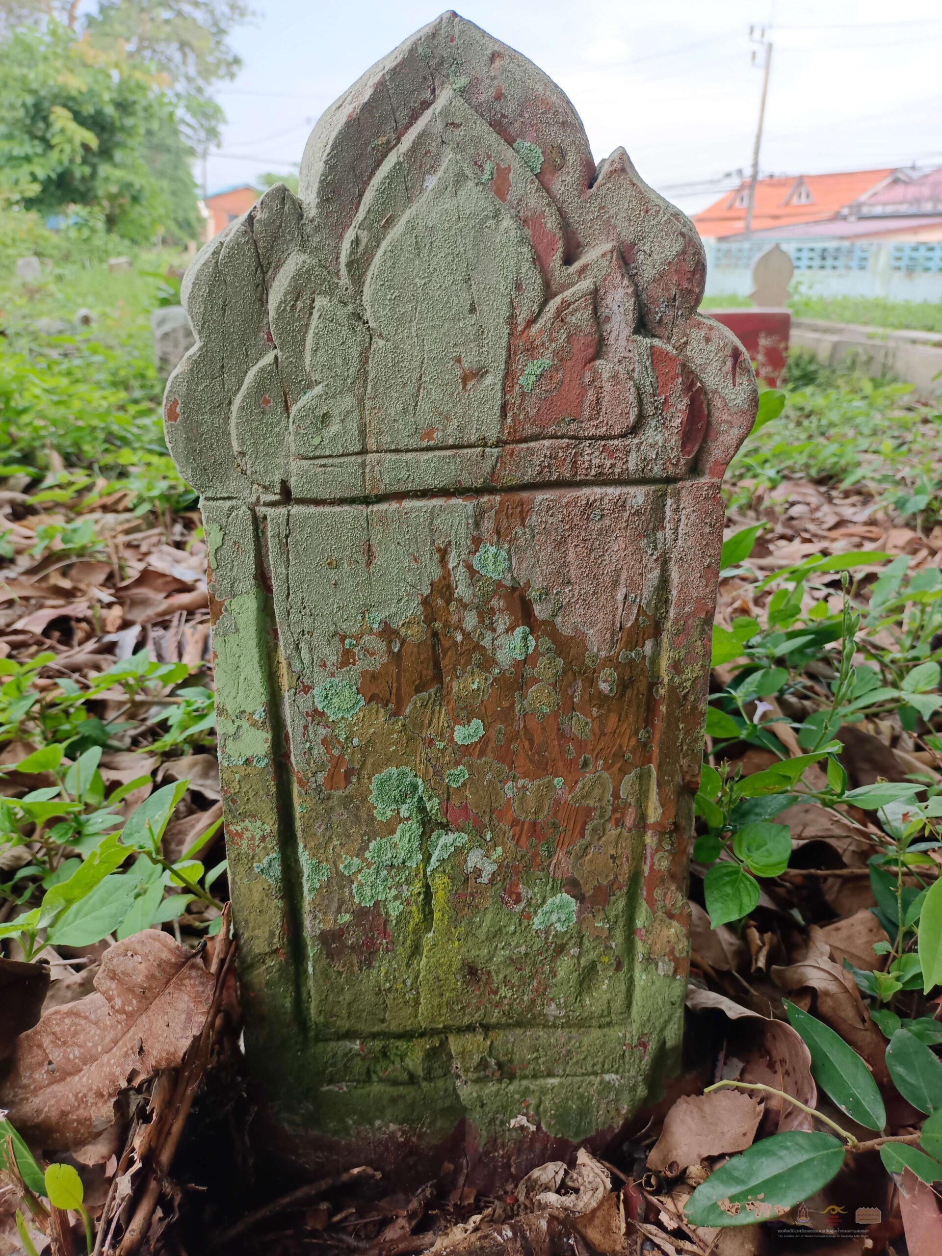 filter: 0; jpegRotation: 90; fileterIntensity: 0.000000; filterMask: 0;