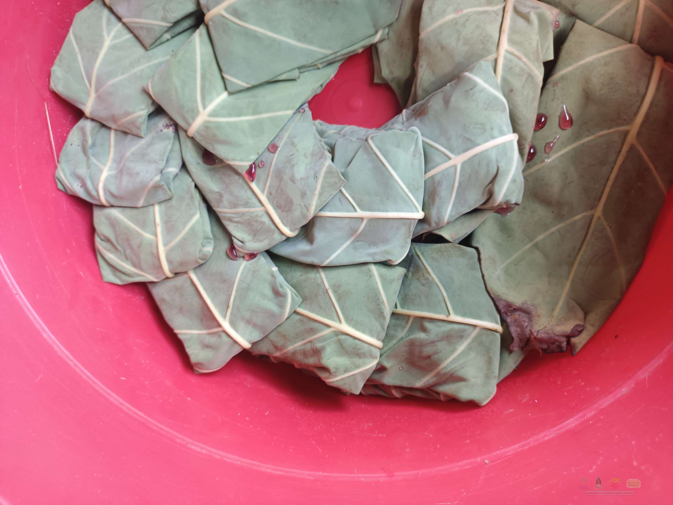 7 - ลูกแป้งใบบอน