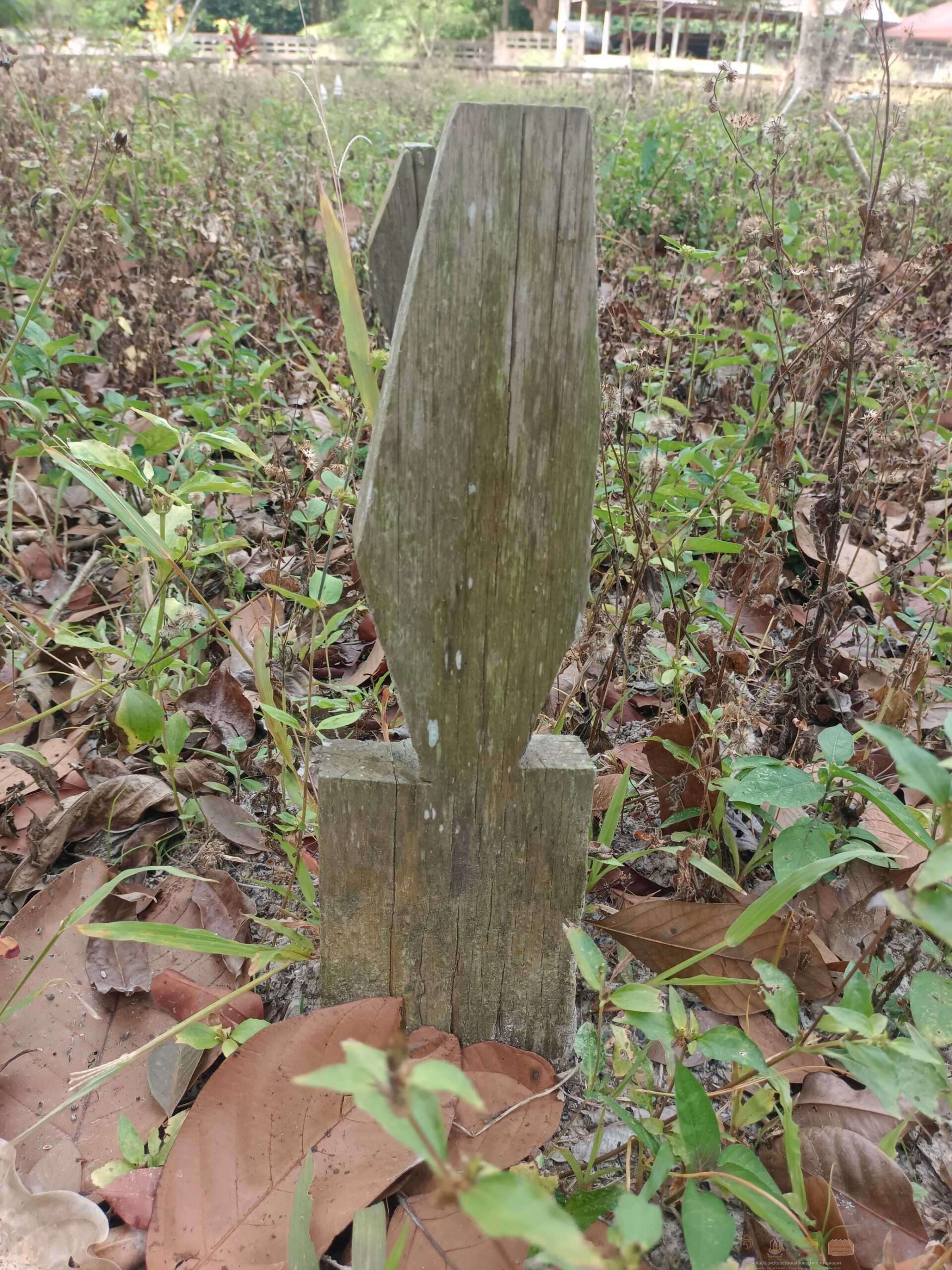 8.IMG_20250320_091719