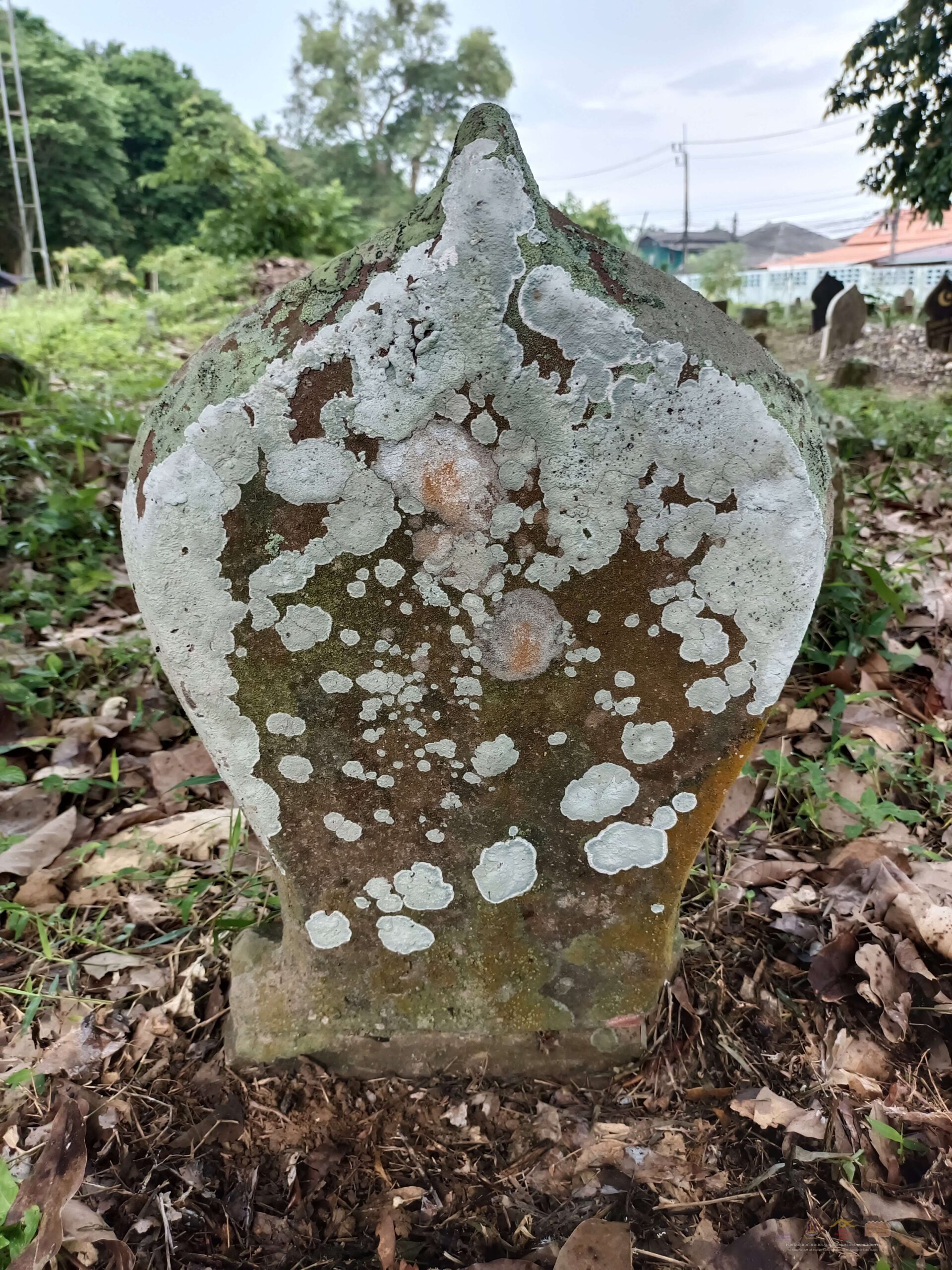 filter: 0; jpegRotation: 90; fileterIntensity: 0.000000; filterMask: 0;