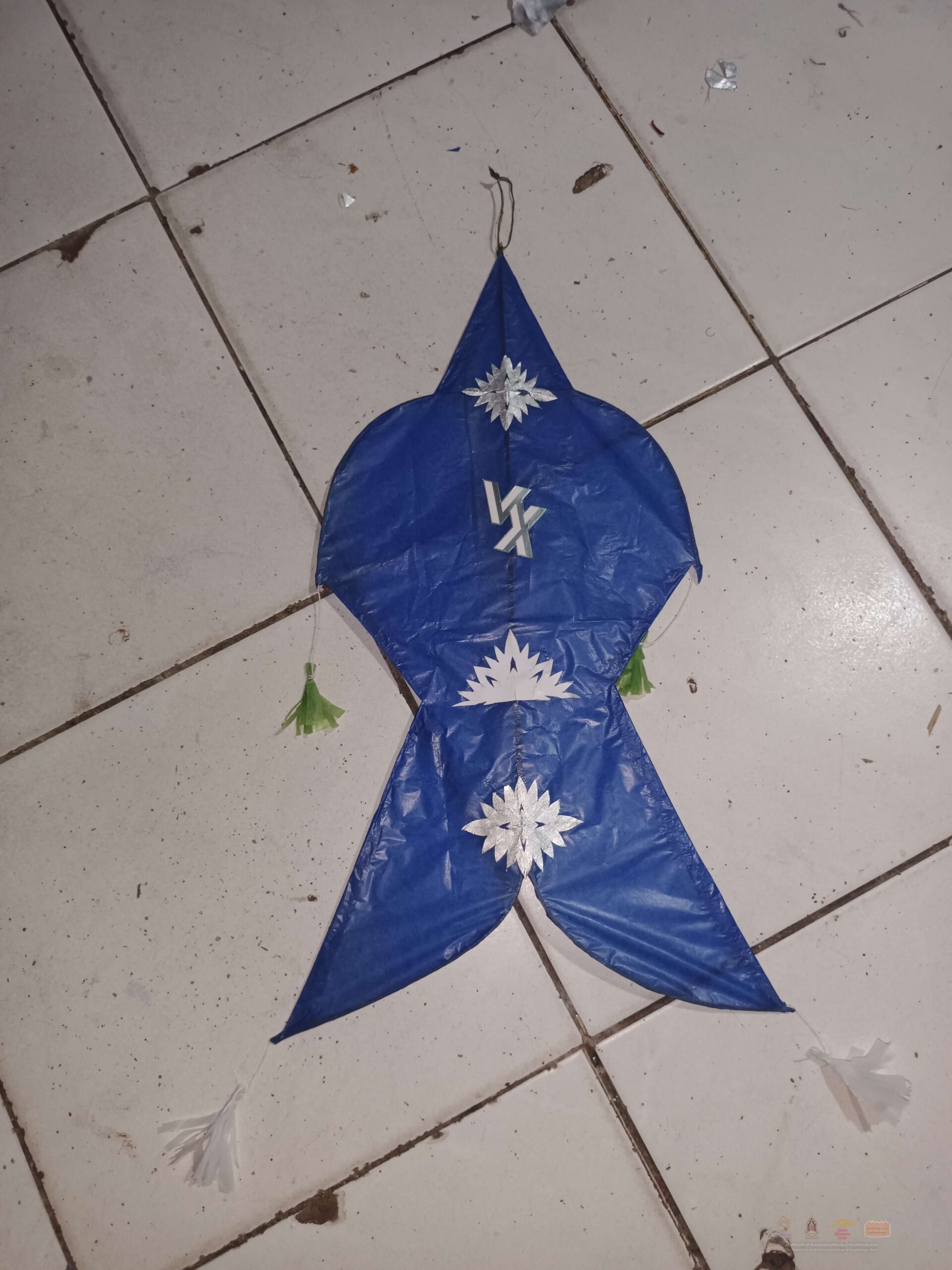 9 - ว่าวปลา