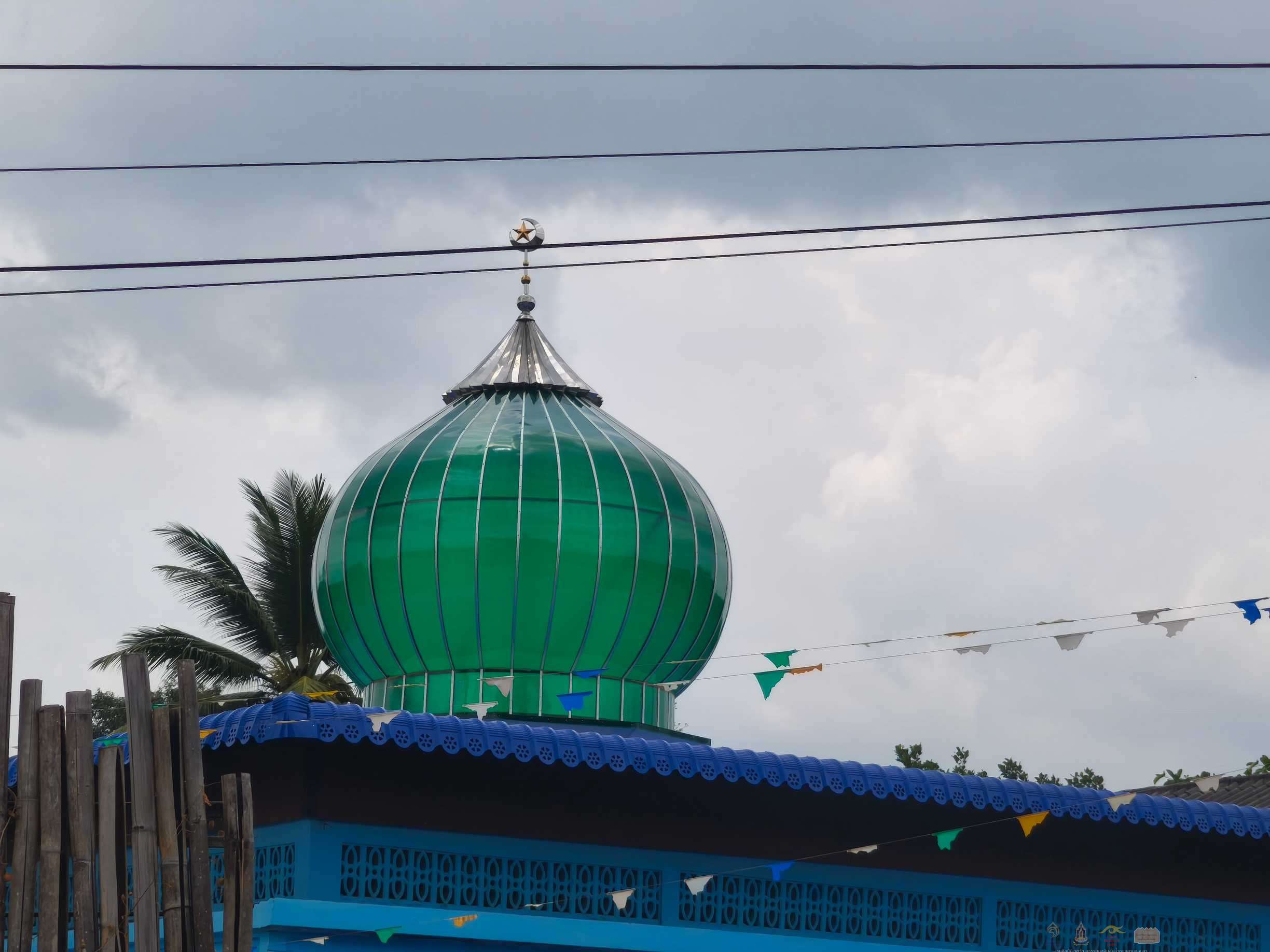 IMG_20250319_124616_1